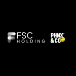 FS Consulting logo
