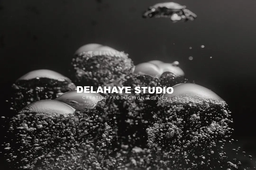 Delahaye Studio cover