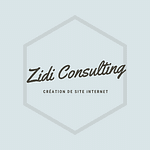 ZidiConsulting logo