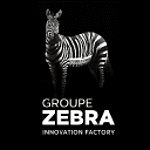 Groupe Zebra