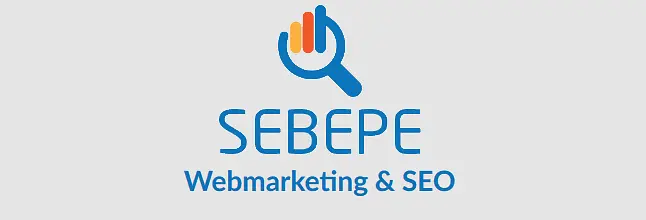 SEBEPE (SEA, SEO, Emailing, CRO) cover