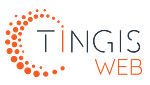 Tingis Web a Customer Experience (CX) Agency: Software Development & Digital Marketing 💻🚀
