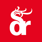 Dragon Rouge Corporate Branding logo