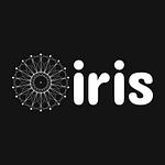 Iris Data-driven SEO Agency logo