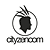 CityZen Com logo