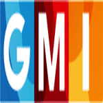 Global Media Insight logo