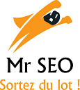Mr SEO logo