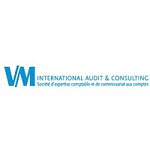 VM International Audit & Consulting logo