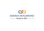 Agence Netlinking logo