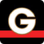 Graphistenice logo