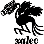 xaleo studio logo