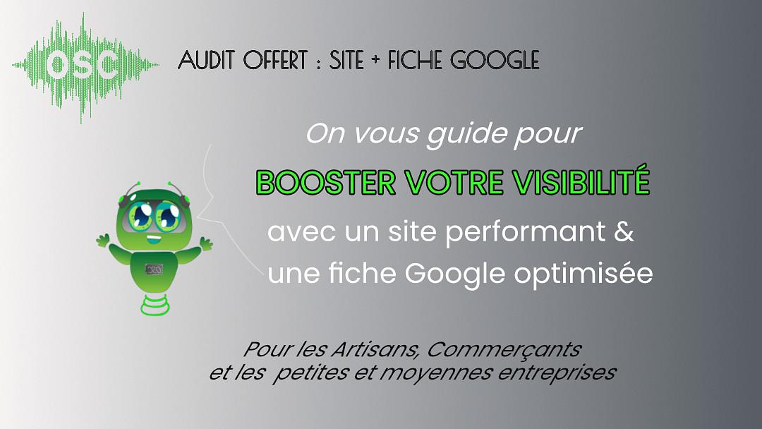 OSC Agence Web cover