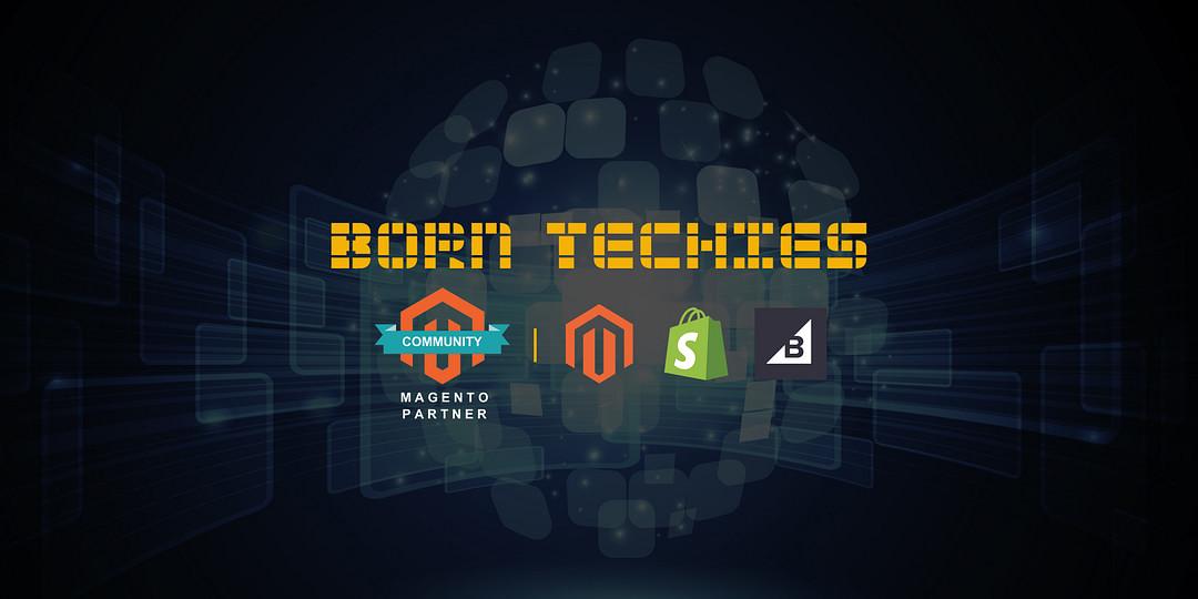 Born Techies Solutions cover