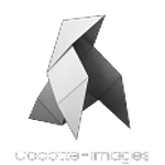 Cocotte-images logo