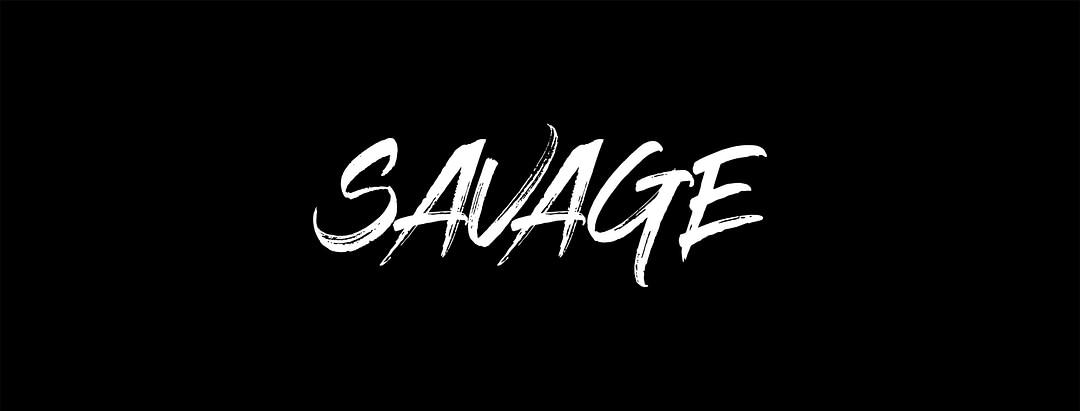 Savage audio solutions cover