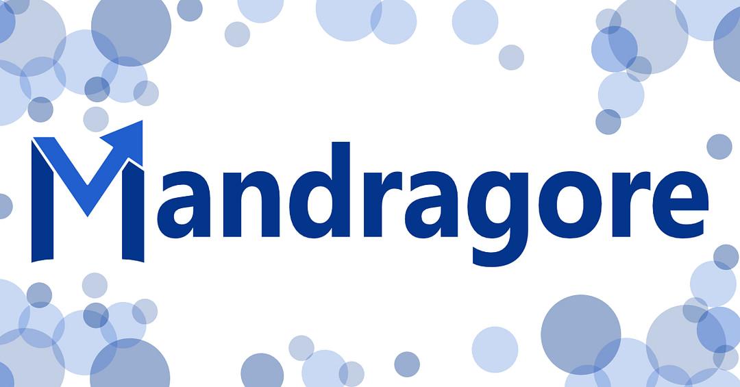 MANDRAGORE - Agence Webmarketing cover