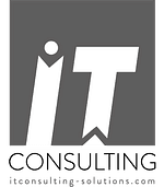 IT Consulting logo
