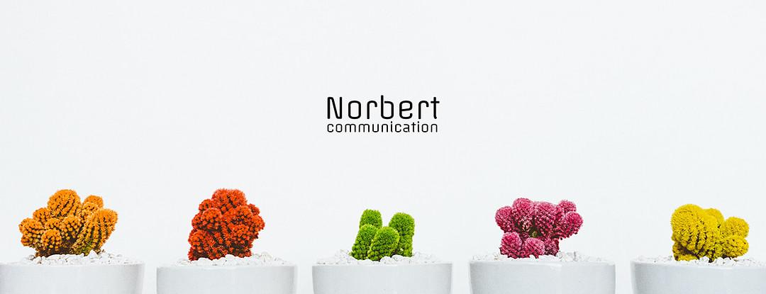Norbert Communication cover