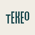Tekeo Studio logo