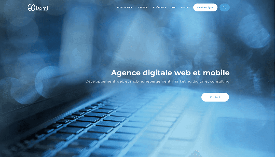 Laxmi Web agency cover