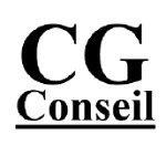 CG Conseil - Consultant en référencement payant - Spécialiste Google Ads