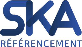 Agence référencement naturel - SKA cover