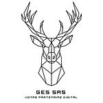 AGENCE GES logo
