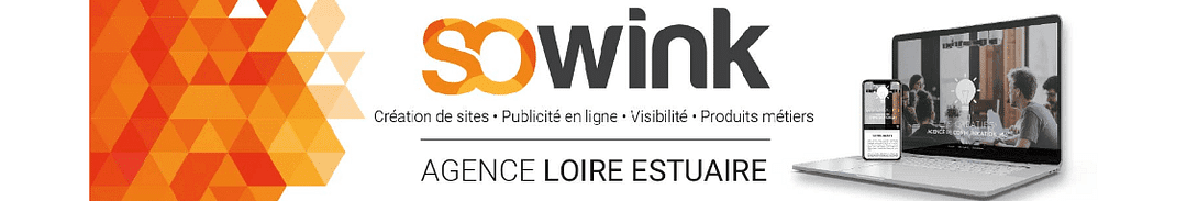 OS web 117 (Agence affiliée Sowink) cover