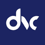DataValue Consulting logo