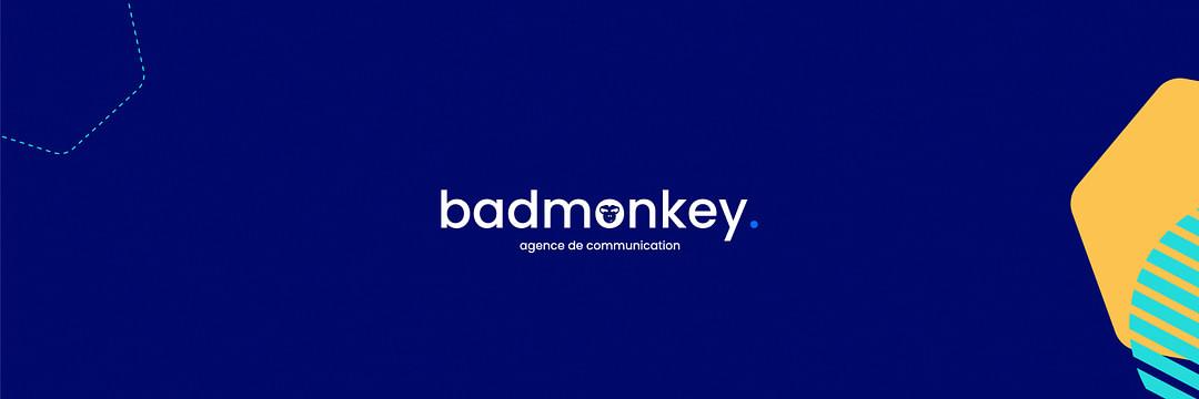 Agence Bad Monkey cover