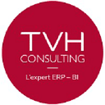 TVH Consulting logo