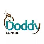 DODDY CONSEIL logo