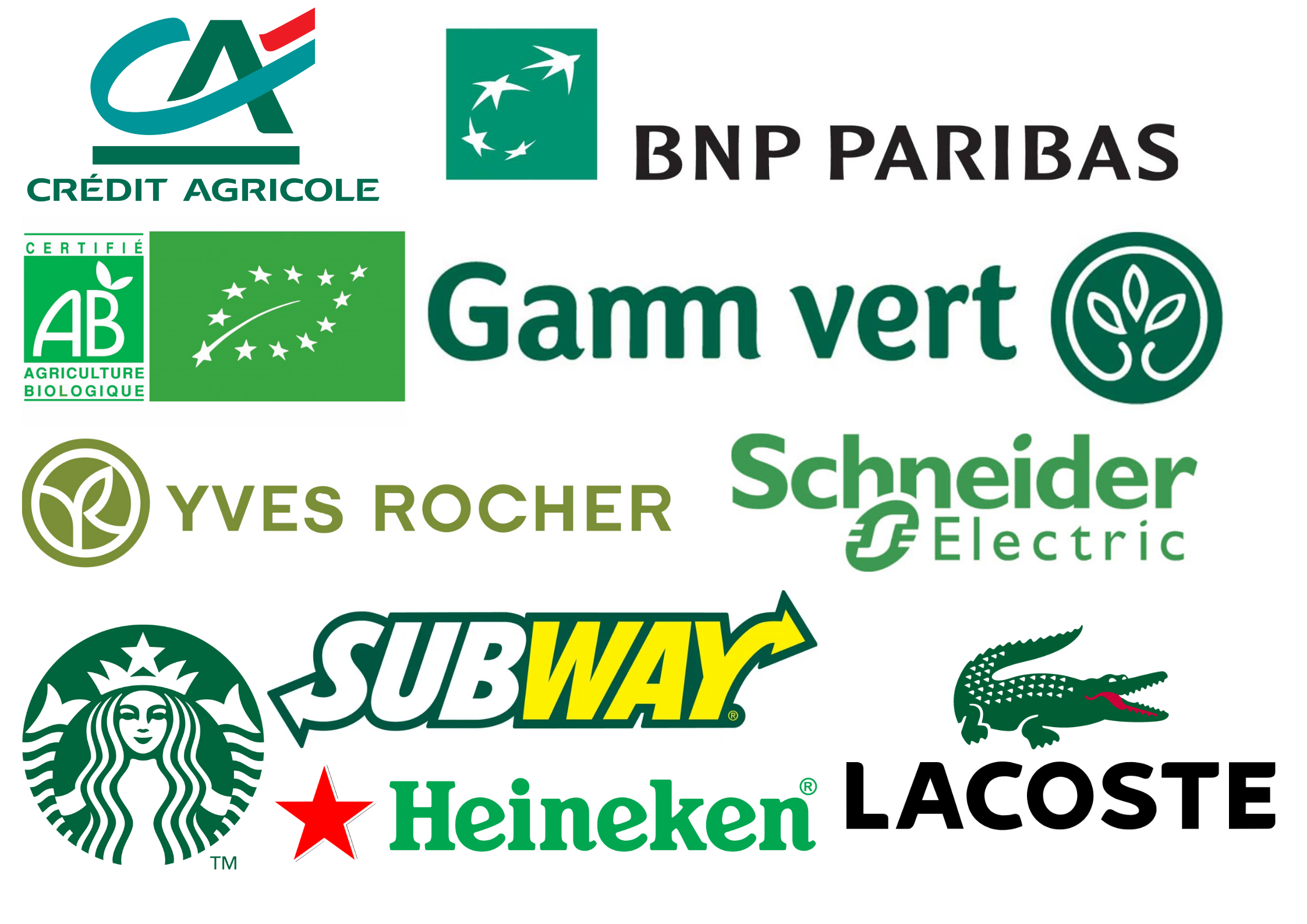 Exemples logos vert