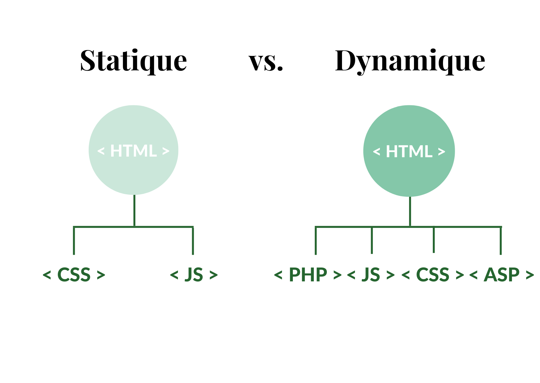 Languages de programmation site dynamique et statique | Sortlist